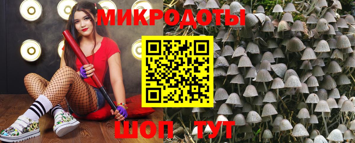 Вязьма  Галлюциногенные грибы GOLDEN TEACHER  Вход с VPN 